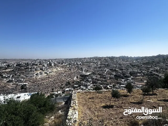 ارض في منطقة لوزة للبيع اطلالة رهيبة شوف الصور قبل ما تشوف ع الواقع وتسال