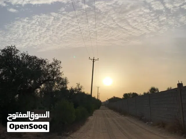 Residential Land for Sale in Tripoli Qasr Bin Ghashir