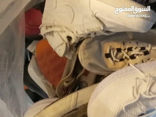 Adidas Others in Mafraq