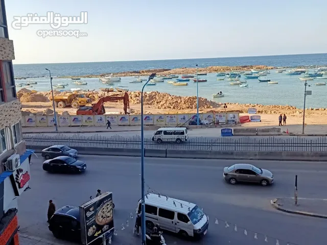 شقة تحفة للايجار اليومي والاسبوعي خالد بن الوليد علي البحر