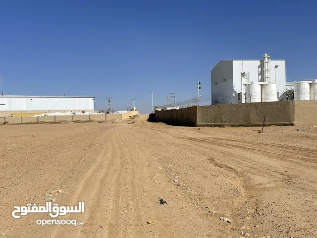 25 دونم بسعر مميز أرض استثمارية للبيع كاش او بدل