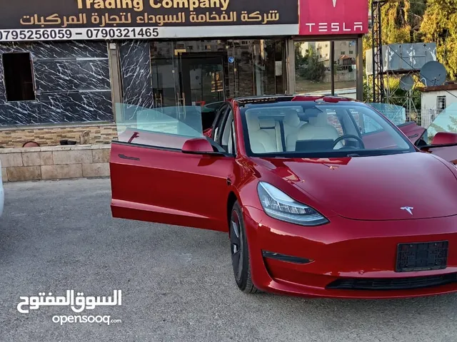 Tesla Model 3 Standard Range Plus 2021