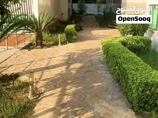 فرصة استثمارية مميزة – دوبلكس فاخر للبيع في ألانيا / كستل تركيا