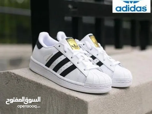 Adidas Sport Shoes in Ismailia