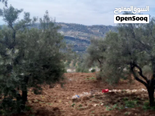 Farm Land for Sale in Jerash Soof