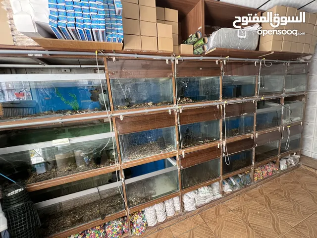 واجهة الألمنيوم حواض سمك نخب اول