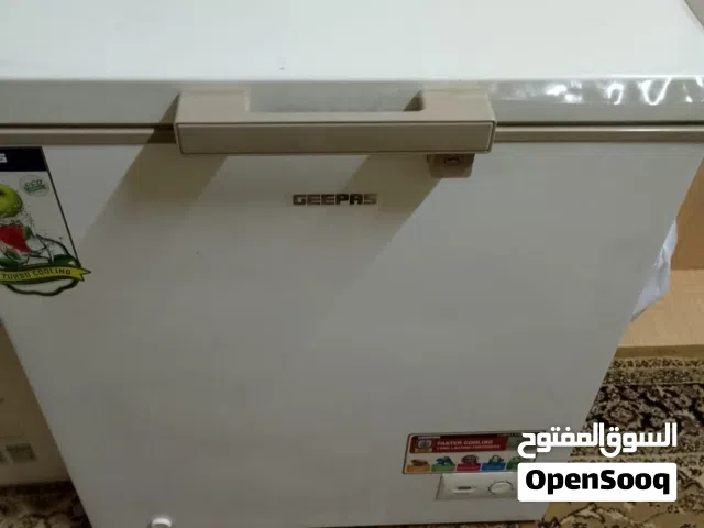ثلاجة متوسطة فيزايز
