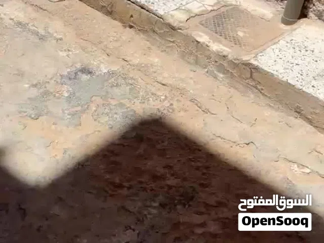 منزل للبيع ربي يبارك مكان سوق الجمعة طريق الخدمات 2 طوابق