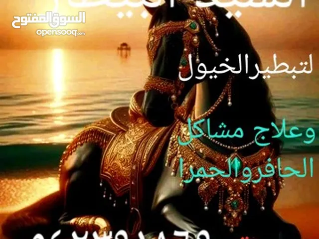 العنايه بحافر الخيل