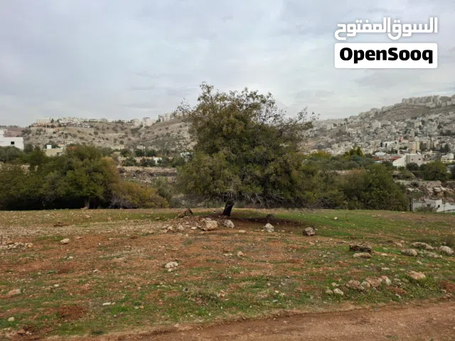 Residential Land for Sale in Amman Abu Al-Nair