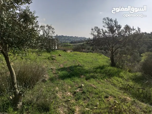 Industrial Land for Sale in Hebron Dura