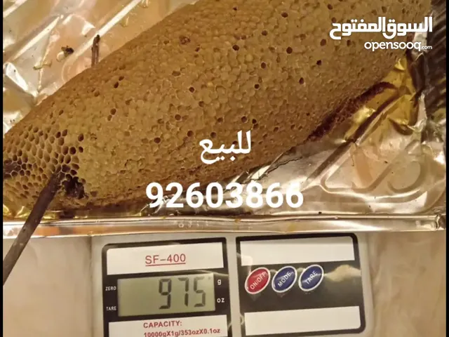 عسل سدر حر للبيع