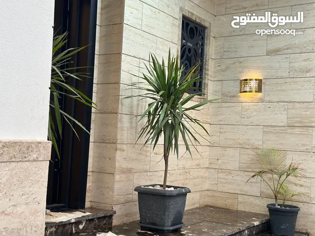 448 m2 5 Bedrooms Villa for Sale in Tripoli Al-Serraj