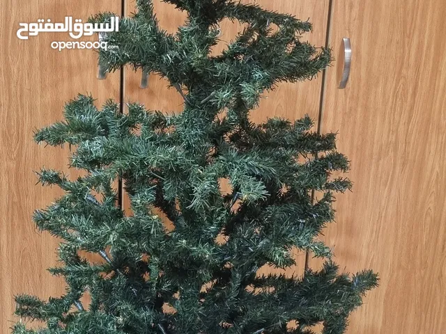 Christmas tree... look nice.. tall.. 167cm long.. cover available