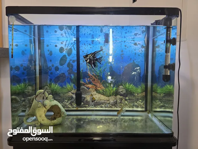 Aquarium for sale