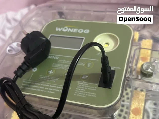 فقاسة بيض عدد 12