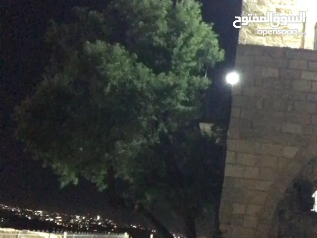 رغد احمد