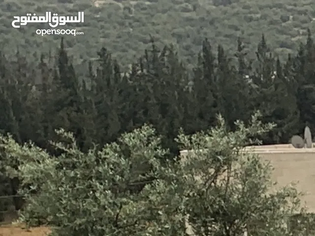قطعه ارض سكنيه بالحمر