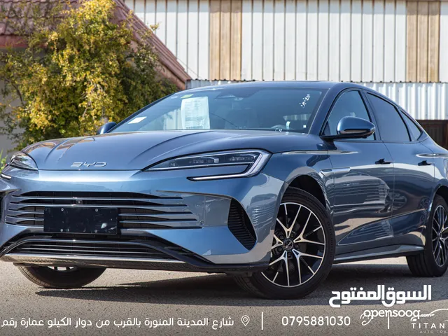 2025, بي واي دي, سيل