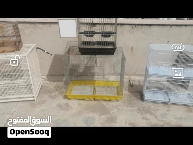 اقفاص للبيع