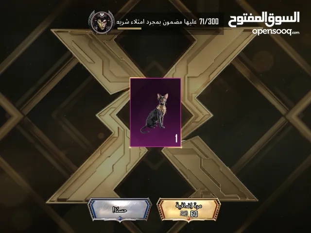 Pubg Accounts and Characters for Sale in Sana'a
