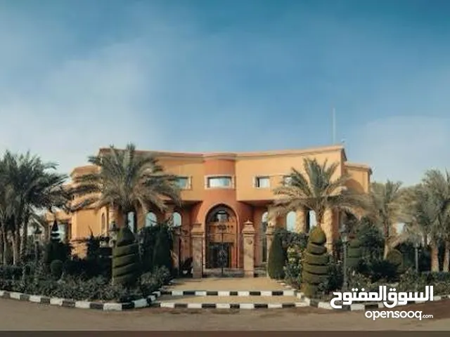 شقه بالحي التاسع مدينه الشروق