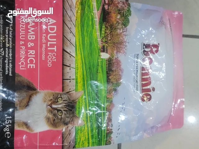 اكل قطط وكلاب صنعاء اليمن
