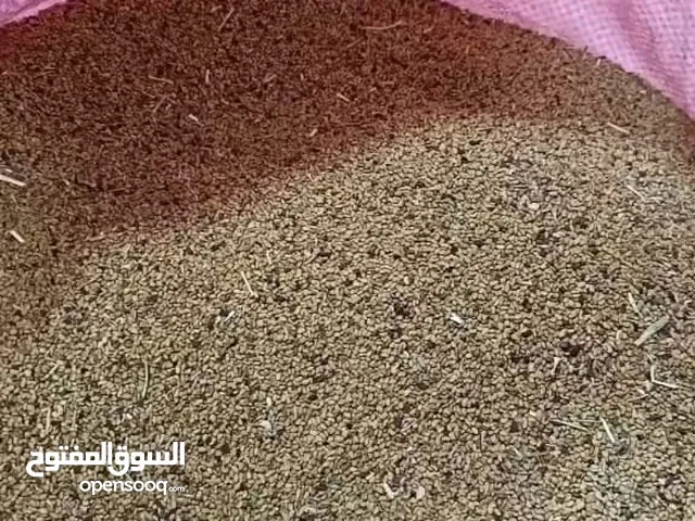 بذر قت المن 70 ريال