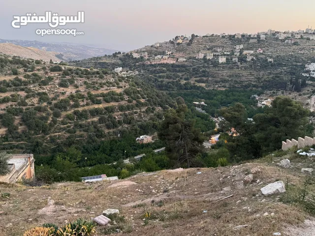 Residential Land for Sale in Salt Al Jadoor
