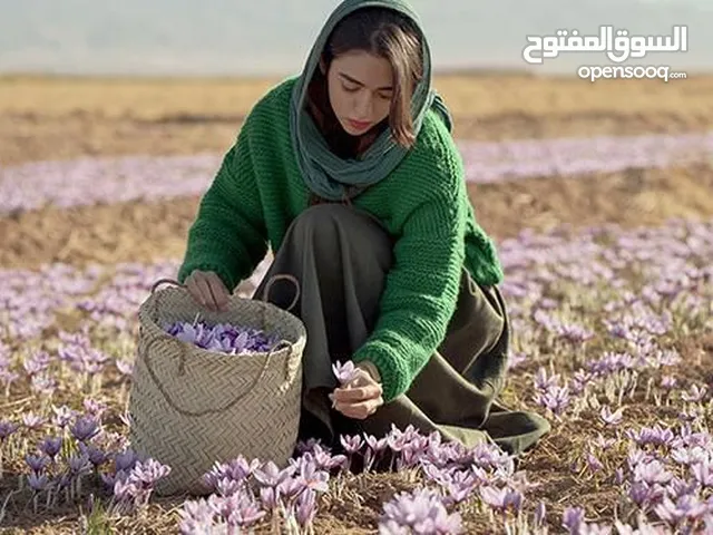 نقدم لكم اجود انواع الزعفران الإيراني نقي 100./. و المباشرة من المزارع الإيرانية نكهة قوي،لون غني،