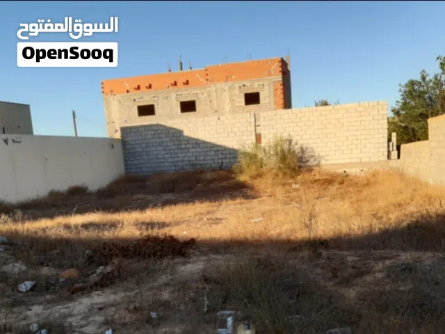 ارض عين زارة فطرة