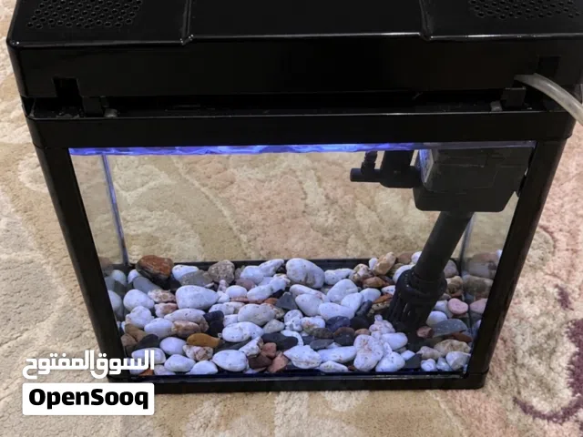 Aquarium Fish Tank with Filter & Light – Working