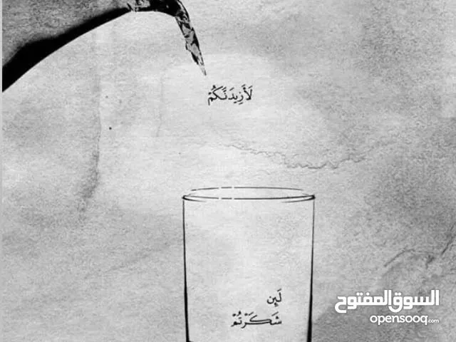 يتوفر تدريب جميع الحيونات المنزلية