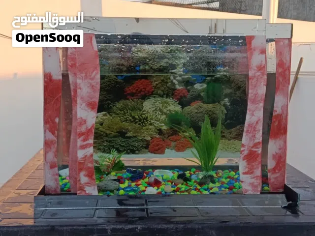حوض سمك للليع