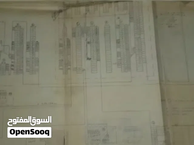 وثيقة عن طنجة الخمسينات