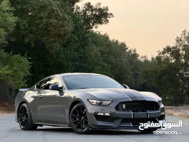 2018 GCC  FORD MUSTANG GT350 SHELBY  فورد موستنج شلبي 2018 خليجي صبغ الوكاله شرط الفحص بدون حوادث