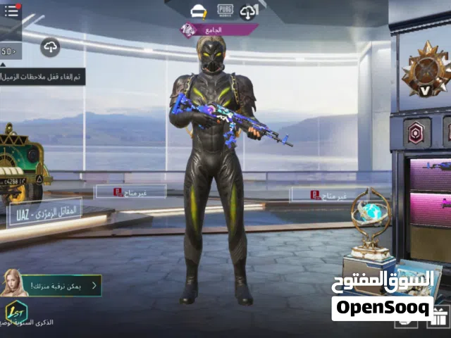 Pubg Accounts and Characters for Sale in Basra
