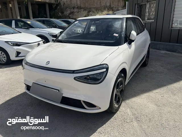 Dongfeng Nammi Box 2022