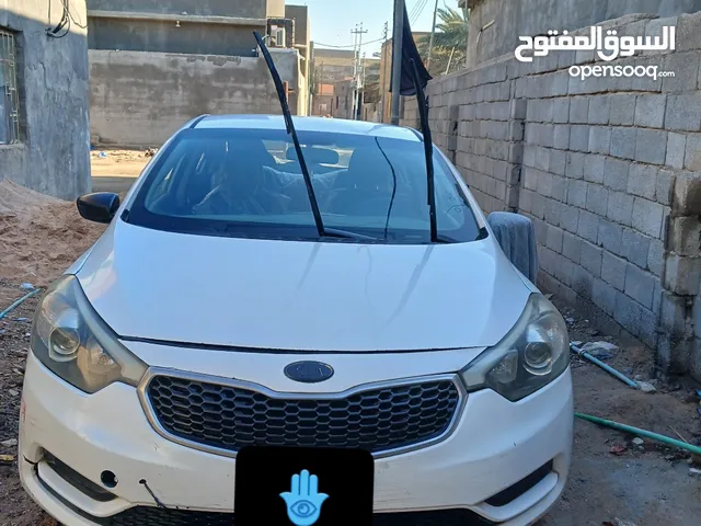 سائق سياره خصوصي