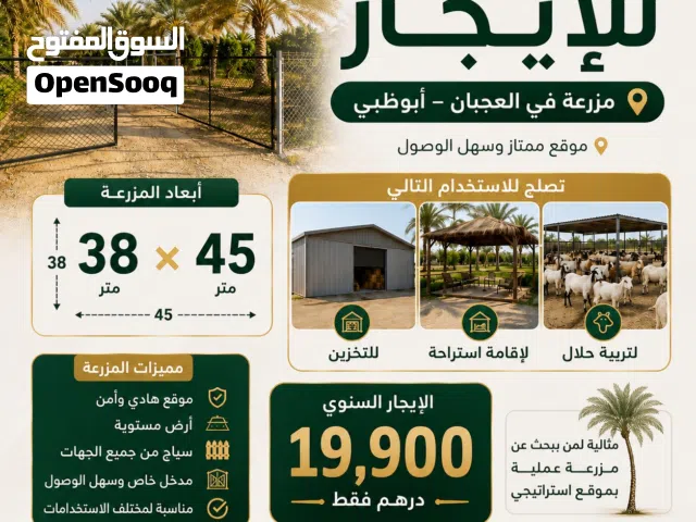 Farm Land for Rent in Abu Dhabi Other