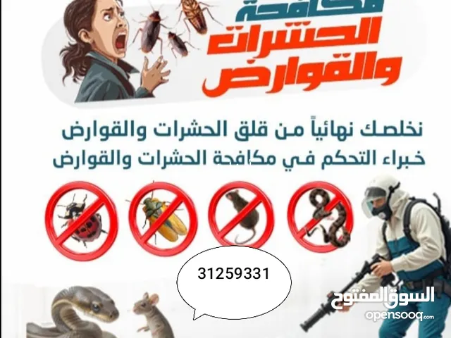 رش مبيدات الحشرات