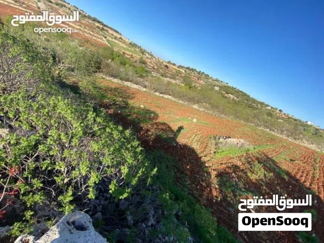 Mixed Use Land for Sale in Ajloun Other