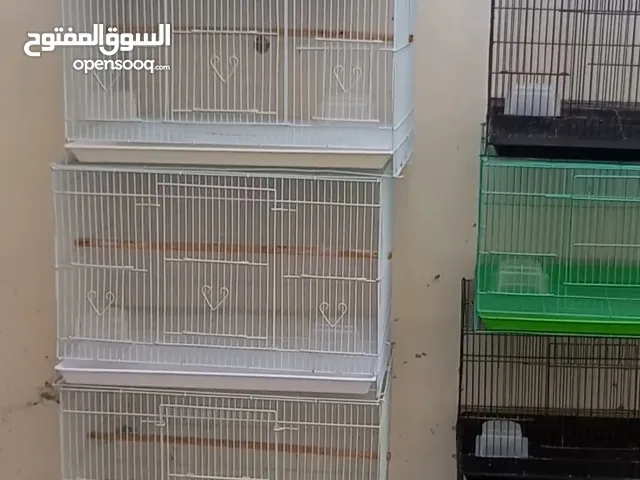 اقفاص شبه جديدة الحق ما تلحق فرصة