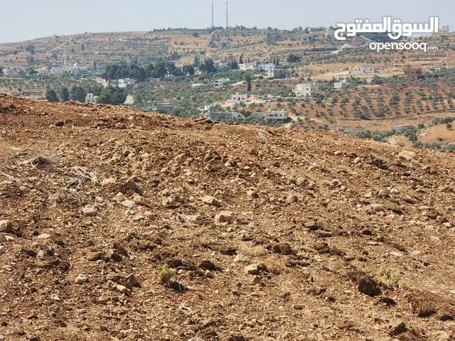 Farm Land for Sale in Mafraq Nadira