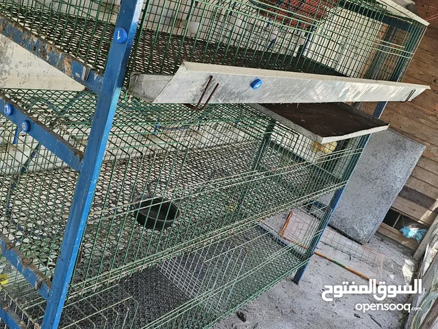 قفص صيصان او محاكر