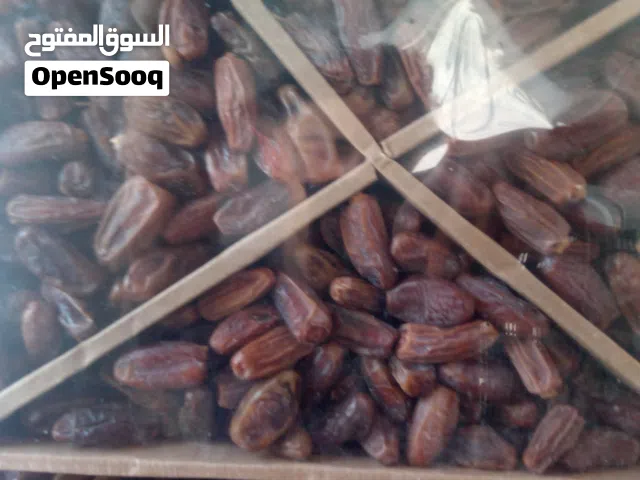 تمور دجلة نور