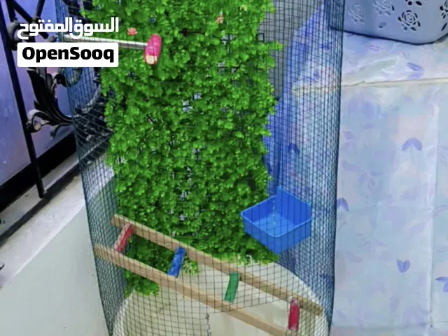 قفص طيور الحب ولفناجس قفص حلو وسندانه مال زرع التواصل واتساب فقط
