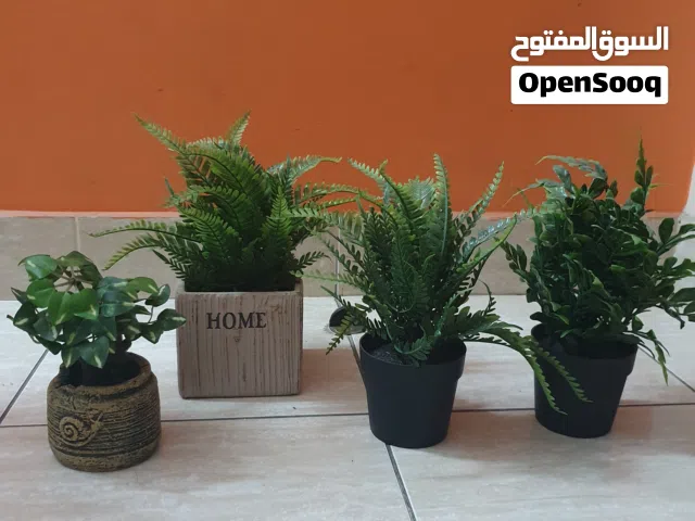 Artificial Decorative Plants