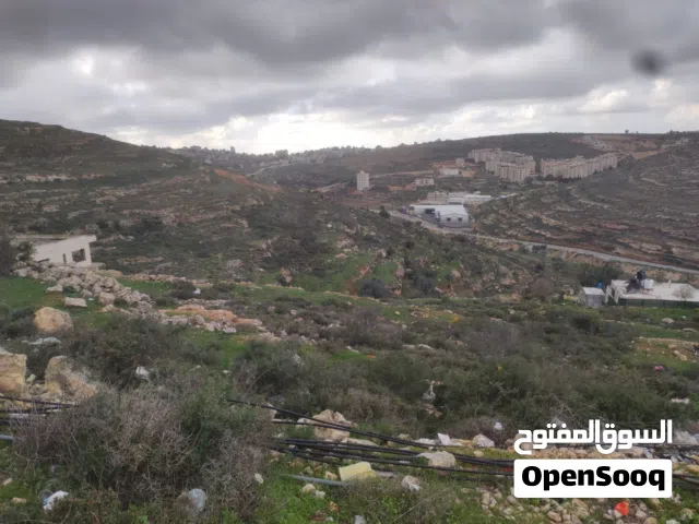 يوجد اربع نمر للبيع في منطقه كوبر على شارع زفته واصل كل الخدمات صالحه للبناء فورا كل قطعه لها كوشان