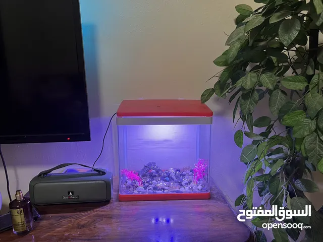 Home Aquarium for sale mid size for office /home